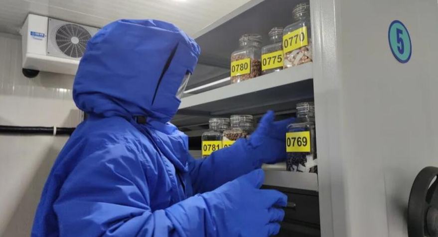 Menuju Ke Arah Pemuliharaan Kepelbagaian Biologi, Bank Biji Benih Shanghai Capai 100 Juta Sampel